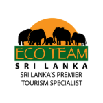 Eco Team. - Agents